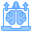 creation company icon
